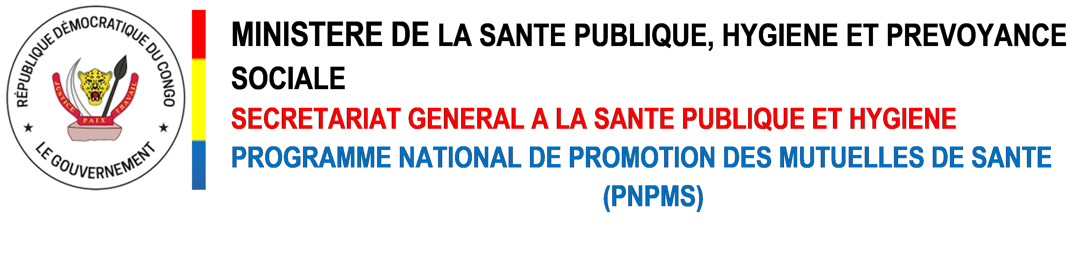Logo PNPM